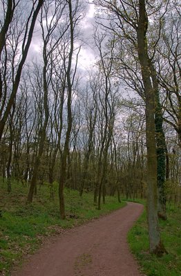 Envie d'une balade_5628213763_l.jpg